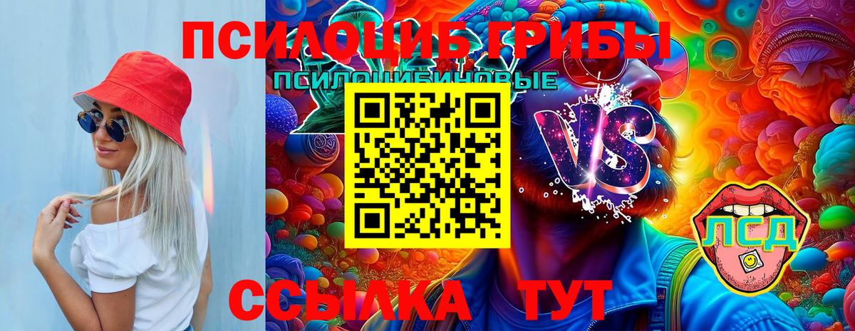 Псилоцибиновые грибы мухоморы  Псилоцибиновые грибы MAGIC MUSHROOMS  Тайшет  Вход с VPN 
