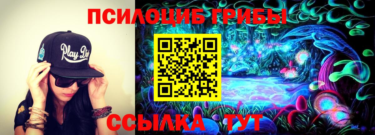 Галлюциногенные грибы Cubensis Тайшет