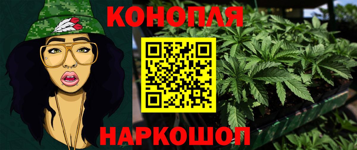 Марихуана сатива Тайшет